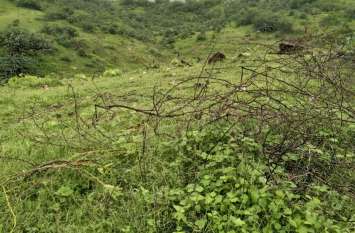 Border dispute between Rajasthan and Gujarat Border dispute between Rajasthan and Gujarat