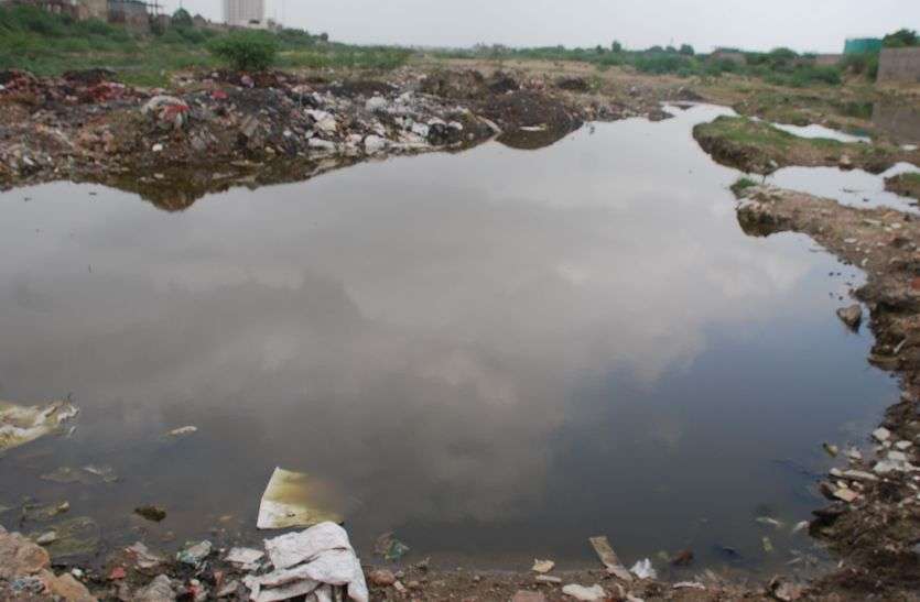 Three gangs bringing polluted acid of state's factories on shift तीन गिरोह पाली की धरा पर ला रहे प्रदेश की फै क्ट्रियों का प्रदूषित एसिड