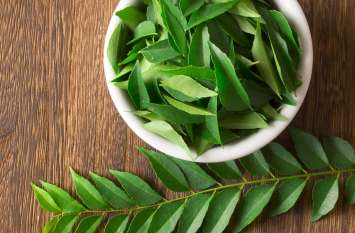curry leaves are helpful to reduce weight and other diseases करी पत्ते से मोटापा होगा दूर, इन 10 बीमारियों के लिए भी कारगर