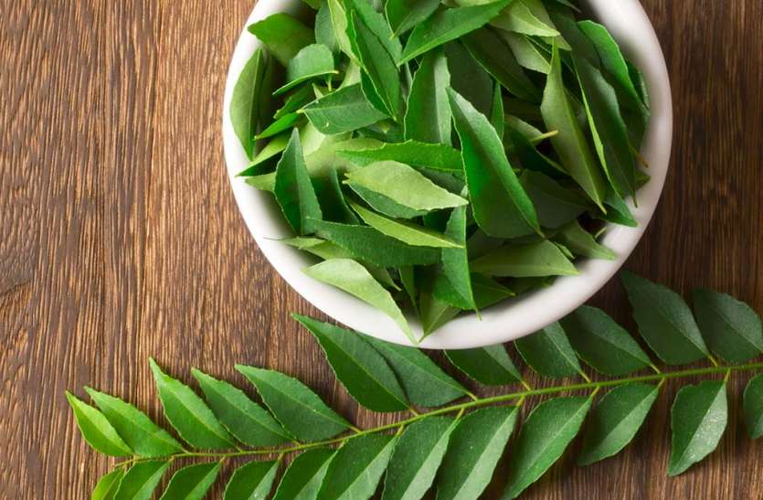 curry leaves करी पत्ते से मोटापा होगा दूर, इन 10 बीमारियों के लिए भी कारगर