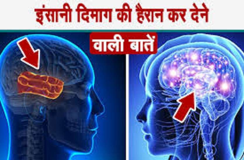 then lefty are more successful 13th August left hander's day ...तो 'लेफ्टी' बच्चे होते हैं ज्यादा सफल,जाने किन वजहों से होते है खास