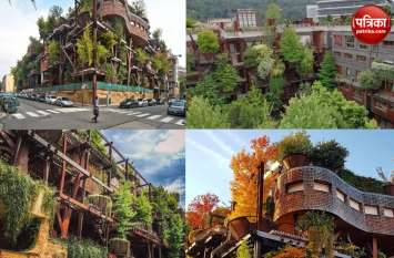 Eco Friendly Apartment Complex Made With 150 Trees Is Italy तस्वीरों के जरिए जानिए 150 पेड़ों के साथ बनाए गए इस इको-फ्रेंडली अपार्टमेंट के बारे में
