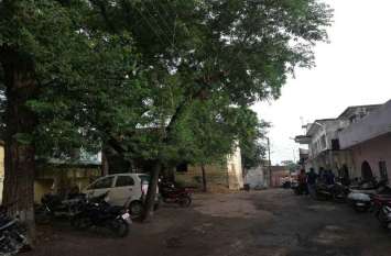 electrical-wires-are-touching-tree-twigs-here-can-be-accident electrical-wires-are-touching-tree-twigs-here-can-be-accident