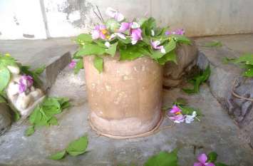 Vankhandeshwar Mahadev, center of religious faith amidst the pleasures प्रकृति के आनंद के बीच धार्मिक आस्था का केन्द्र वनखण्डेश्वर महादेव दिल हो उठता बाग-बाग जब हरियाली के बीच बहता है झरना और बोलती है कोयल