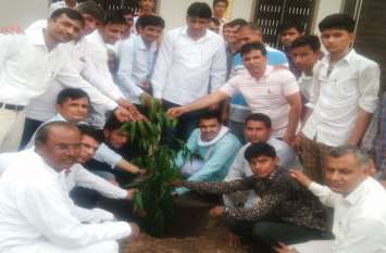 Planting to environment protection message पौधरोपण कर दिया पर्यावरण संरक्षण का संदेश