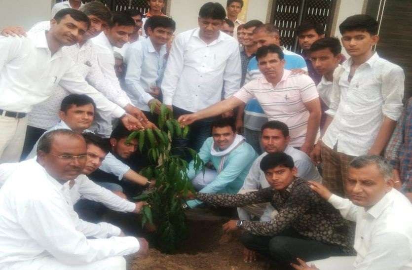jalore-bhinmal-haryalo rajasthan पौधरोपण कर दिया पर्यावरण संरक्षण का संदेश