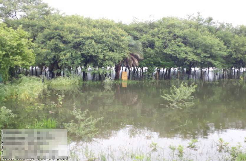 news lake view bhopal : बड़े तालाब का किया सर्वे, जीपीएस की मदद से गूगल मैपिंग कर जांचे 300 प्वाइंट