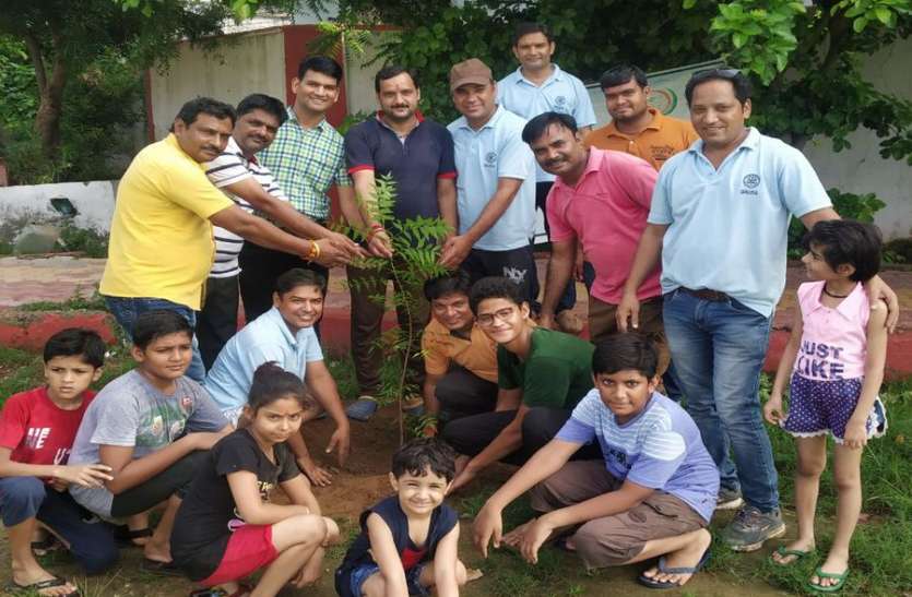haryalo rajasthan in dausa हरयाळो राजस्थान: सावन के आखिरी सोमवार को किया हरा-भरा