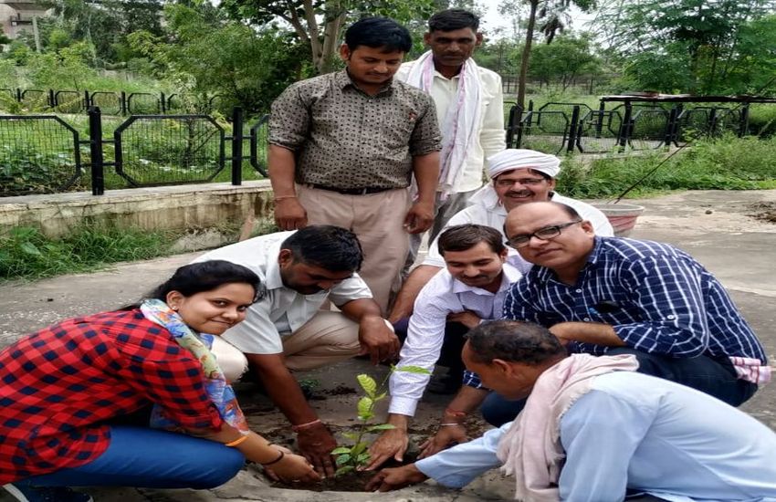 alwar plantaion news alwar plantaion news बारिश का आंकड़ा नहीं बढ़ा तो पौधों पर मंडरा सकता है संकट