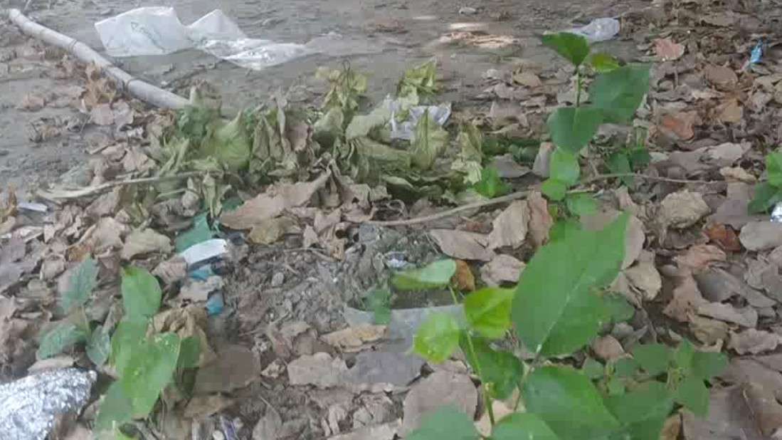 meerut