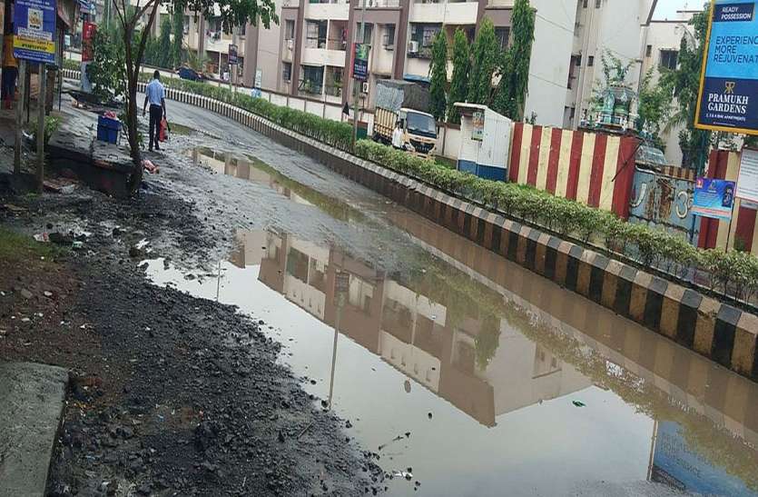 patrika जलजमाव से डेंगू रोग फैलने का खतरा