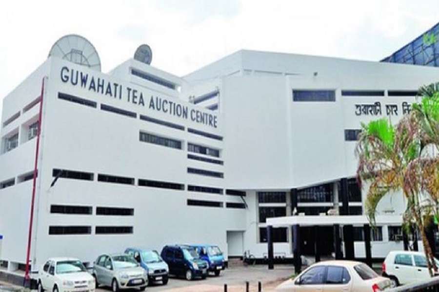 Golden Butterfly Tea Auctioned in record Rs 75,000 for a kg