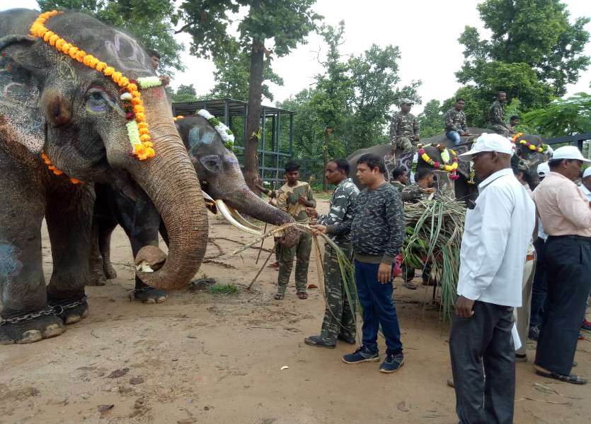 World elephant day
