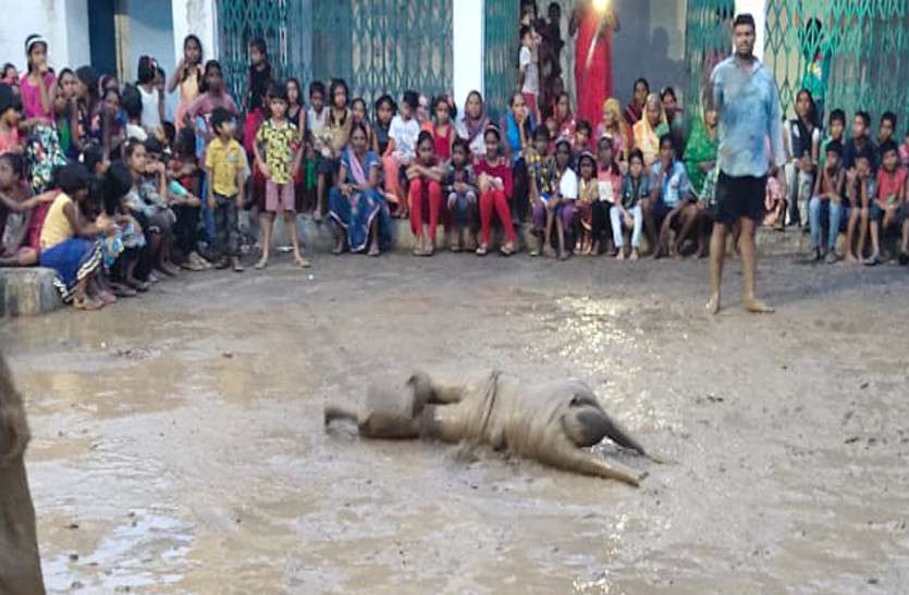 Chhattisgarh Ajab Gajab
