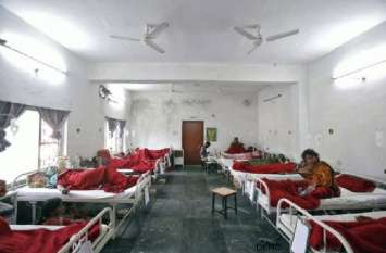 five admitted in hospital after eating poisonous mushroom महंगा पड़ा इन्हें खाने का शौक, जैसे ही गया पेट में पड़े बीमार अब पांचों अस्पताल में भर्ती