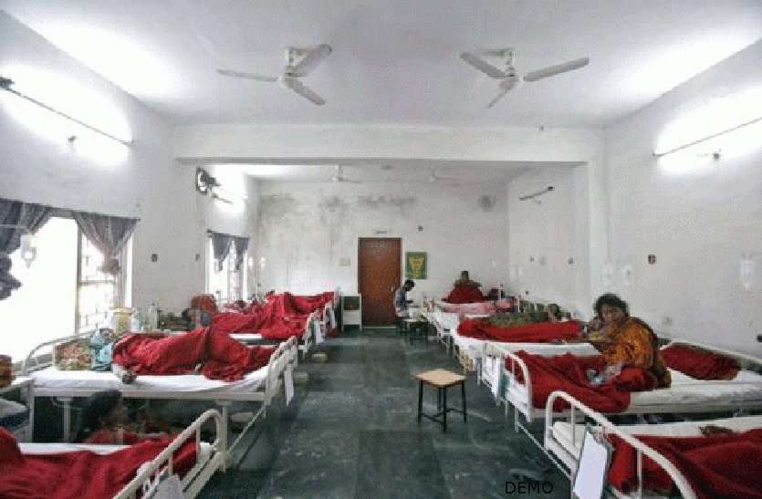 five admitted in hospital after eating poisonous mushroom महंगा पड़ा इन्हें खाने का शौक, जैसे ही गया पेट में पड़े बीमार अब पांचों अस्पताल में भर्ती