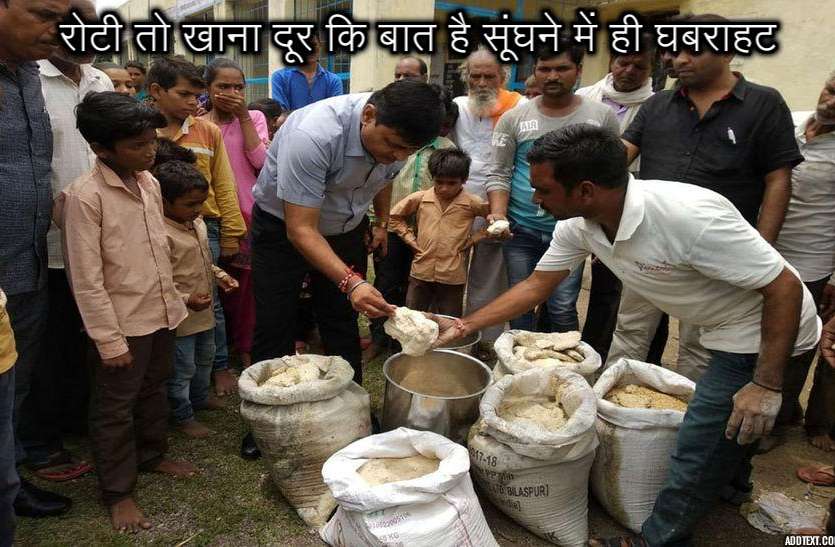 Rotten flour loaves fed in nutrition, a dozen children sick धमकाकर पोषाहार में खिलाई सड़े आटे की रोटियां, एक दर्जन बच्चे बीमार