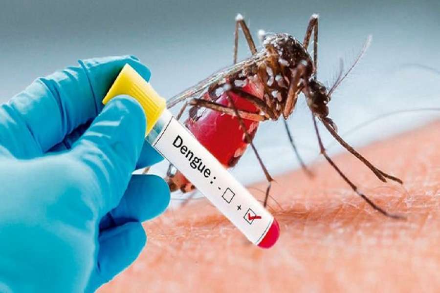 Dengue fever is spreading in Uttarakhand