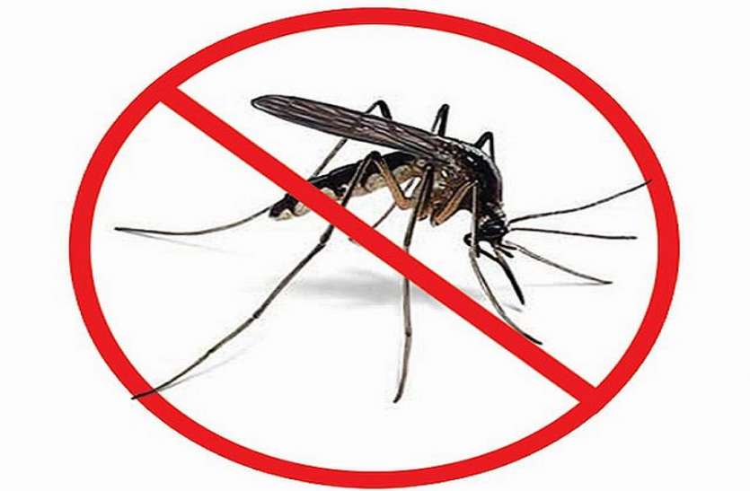 Dengue fever is spreading in Uttarakhand विधायक की पत्नी को हुआ डेंगू तो जागा प्रशासन