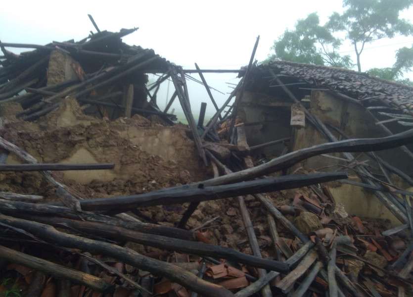 Elephants broken house