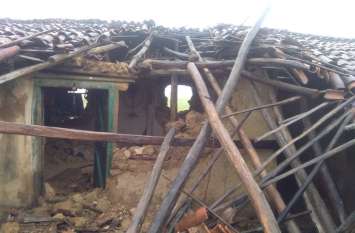 Elephants terror: 14 Elephants broken 3 house in Chhattisgarh's Shimla छत्तीसगढ़ के शिमला में 14 हाथियों का कहर: बरसात में 3 परिवारों को किया बेघर, जान बचाकर भागे, रौंद दी 5 एकड़ आलू की फसल