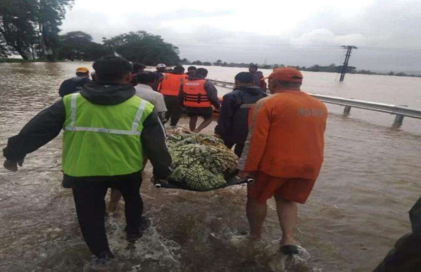 ndrf