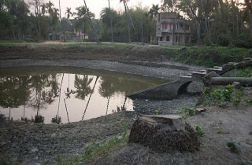 kolkata illegal fill the pond : पाटे गए तालाब को फिर से बहाल करने का निर्देश