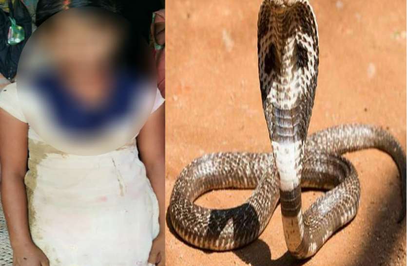 Girl marriage with snake सांप ने लड़की की मांग में डाला सिंदूर, देखने उमड़ा लोगों का हुजूम