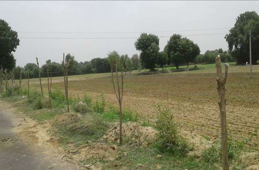 jalore रखवाली के लिए विद्युत तंत्र के साथ छेड़छाड़