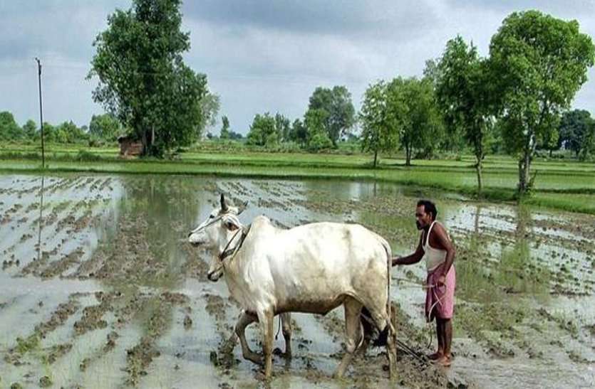 patrika इस मंडी के किसानों को ५ रुपए में मिलेगा भरपेट भोजन