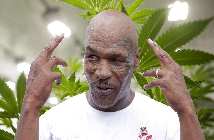 Mike tyson सर्वकालिक महानतम बॉक्सर माइक टायसन हर महीने पीते हैं 28 लाख रुपए का गांजा