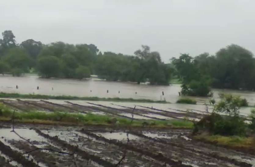 Kalisindh And Trivedi Overflow, Independence Day Celebration Canceled भारी बारिश के बाद उफनी कालीसिंध, खेतों में भरा पानी, त्रिवेणी का गेज बढ़ने पर निरस्त हुए स्वतंत्रता दिवस समारोह
