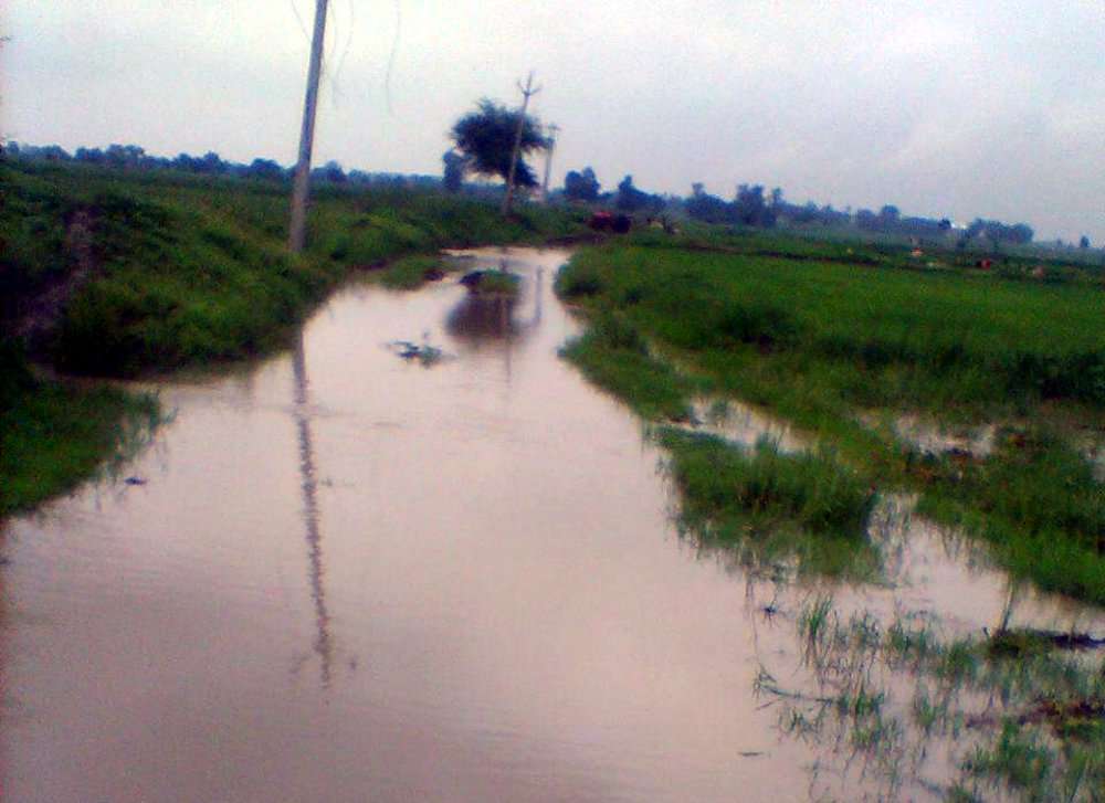 73 independence day 2019 semaria village : People Enchanted by road