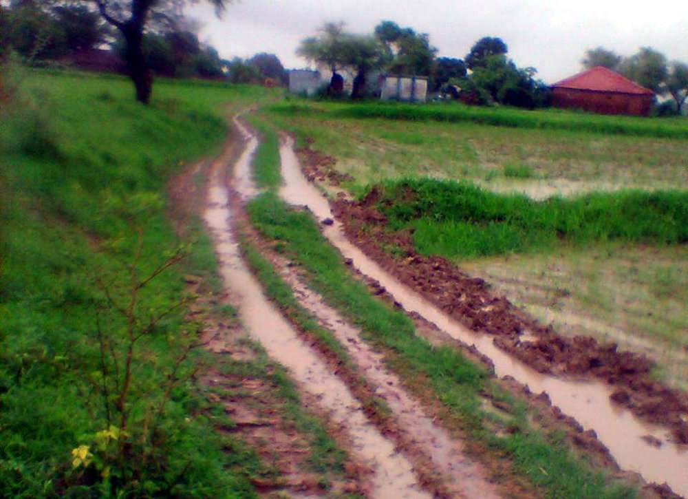 73 independence day 2019 semaria village : People Enchanted by road