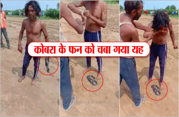 Video Viral: Tikamgarh man chewed snake neck in jhajjar at hariyana चने की तरह कोबरा के फन को चबा गया यह व्यक्ति, फिर हश्र हुआ बेहद ही खौफनाक