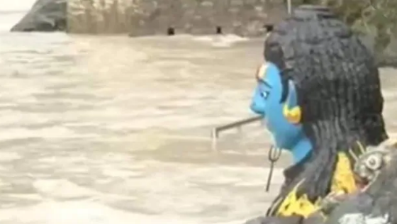 shiv