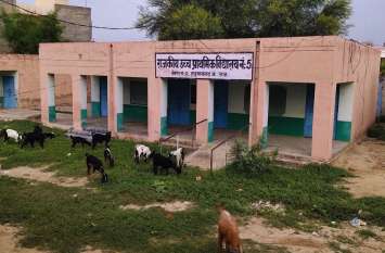 Hanumangarh girls college gifted from this education session, Temporar हनुमानगढ़ की बेटियों को इसी शिक्षा सत्र से कन्या कॉलेज की सौगात, अस्थाई भवन चिह्नित