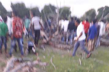 madhya pradesh big news: tree fall five children died due in sidhi सीधी में पीपल का पेड़ गिरने से 5 बच्चों की मौत, 12 घायल, कजलियां पर्व मनाते समय हुआ हादसा