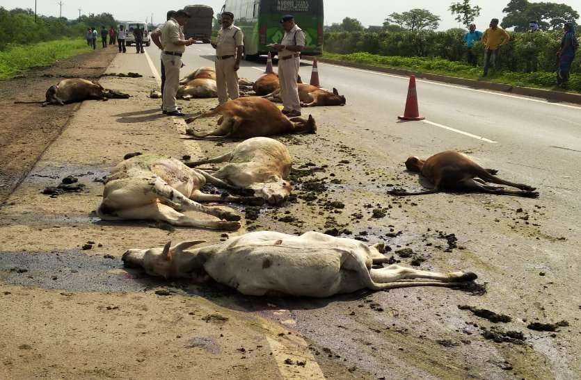 road accident in Rajnandgaon