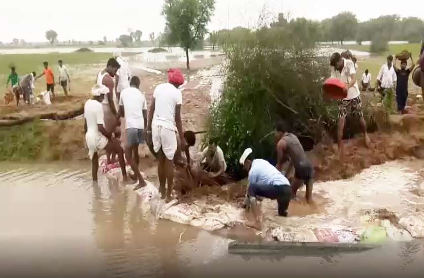 flood in Rajasthan मूसलाधार बारिश ने यहां फिर बिगाड़े हालात, बांध में कटाव से खेतों में पहुंचा पानी, युवाओं ने संभाली कमान