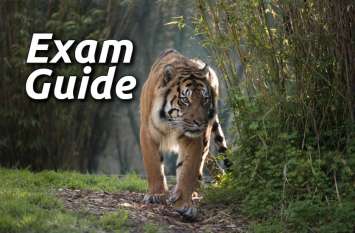 exam guide: Govt jobs gk exam mock test paper in hindi Exam Guide: इस टेस्ट से चेक करें अपने Govt Jobs के एग्जाम्स की तैयारी