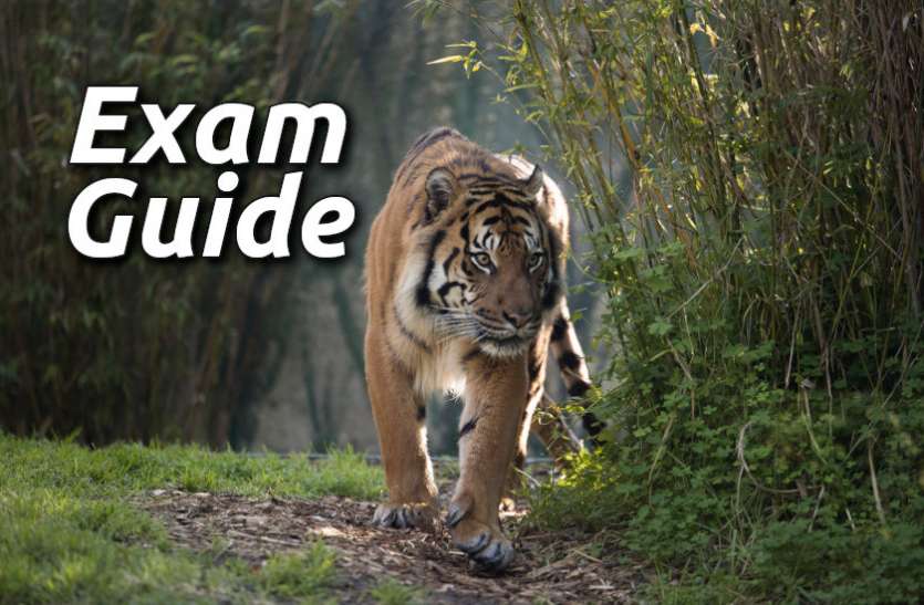 Education, interview, exam, online test, rojgar samachar, interview tips, online exam, Mock Test, general knowledge, GK, interview questions, jobs in hindi, rojgar, competition exam, mock test paper, sarkari job, questions Answers, GK mock test, Exam Guide, General Science Questions, Questions and answers, common general knowledge questions and answers, common general knowledge questions and answers Exam Guide: इस टेस्ट से चेक करें अपने Govt Jobs के एग्जाम्स की तैयारी