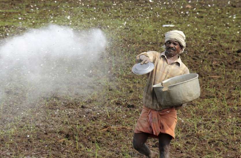 Farmer देश के 5 करोड़ किसानों को स्वतंत्रता दिवस पर तोहफा, IFFCO ने 50 रुपये घटाया खाद का दाम