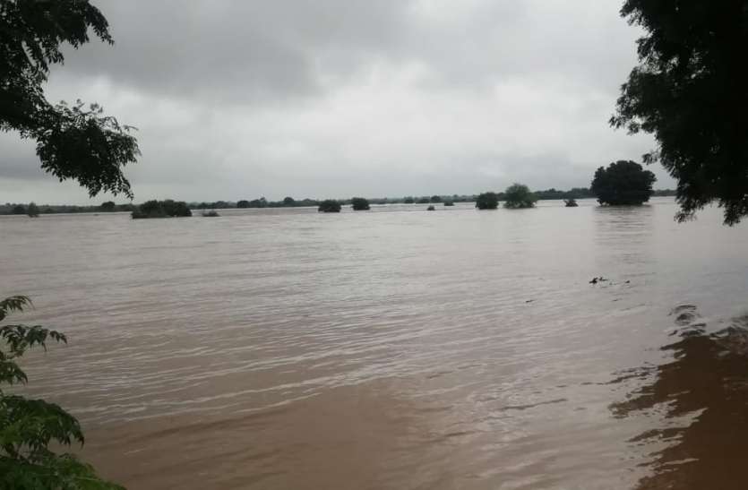 sheopur चंबल और पार्वती खतरे के निशान से ऊपर, श्योपुर का राजस्थान से कटा संपर्क