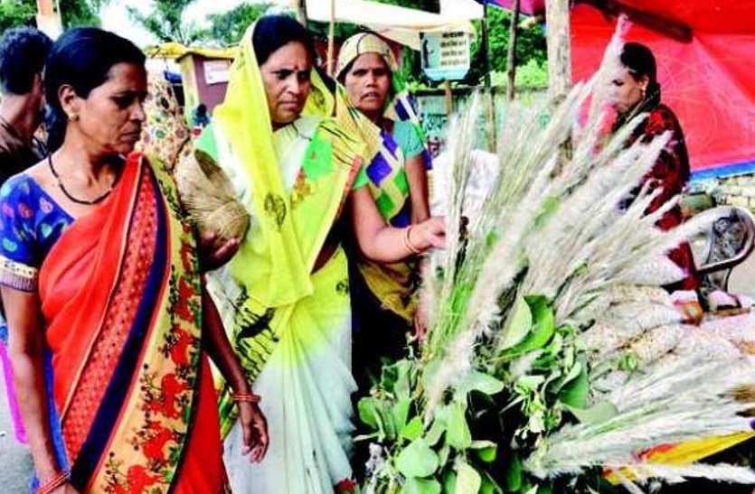 हलषष्ठी व्रत 2019, पुत्र की दीर्घायु, पुत्र की अकाल मृत्यु, भाद्र कृष्ण पक्ष की षष्ठी तिथि, हलधर बलराम जी का जन्म,