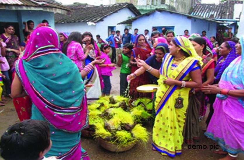 kajaliya Kajalia: कजलियां पर्व से अच्छी फसल का लगाया जाता है अनुमान