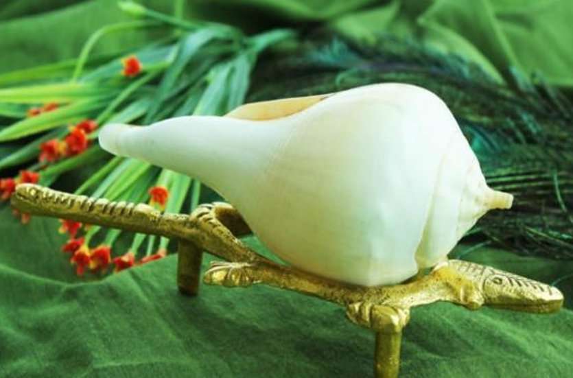 Shree krishna janmashtami
