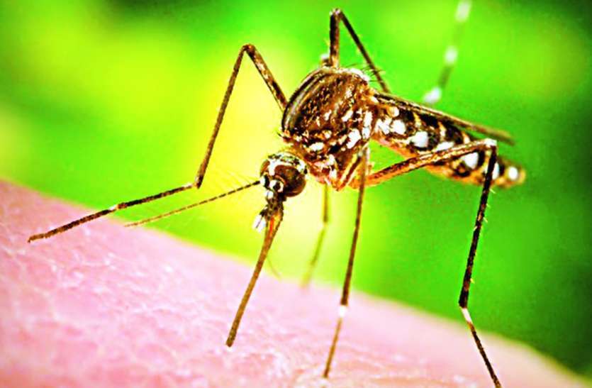 malaria आधे से ज्यादा बुरुंडी मलेरिया की चपेट में