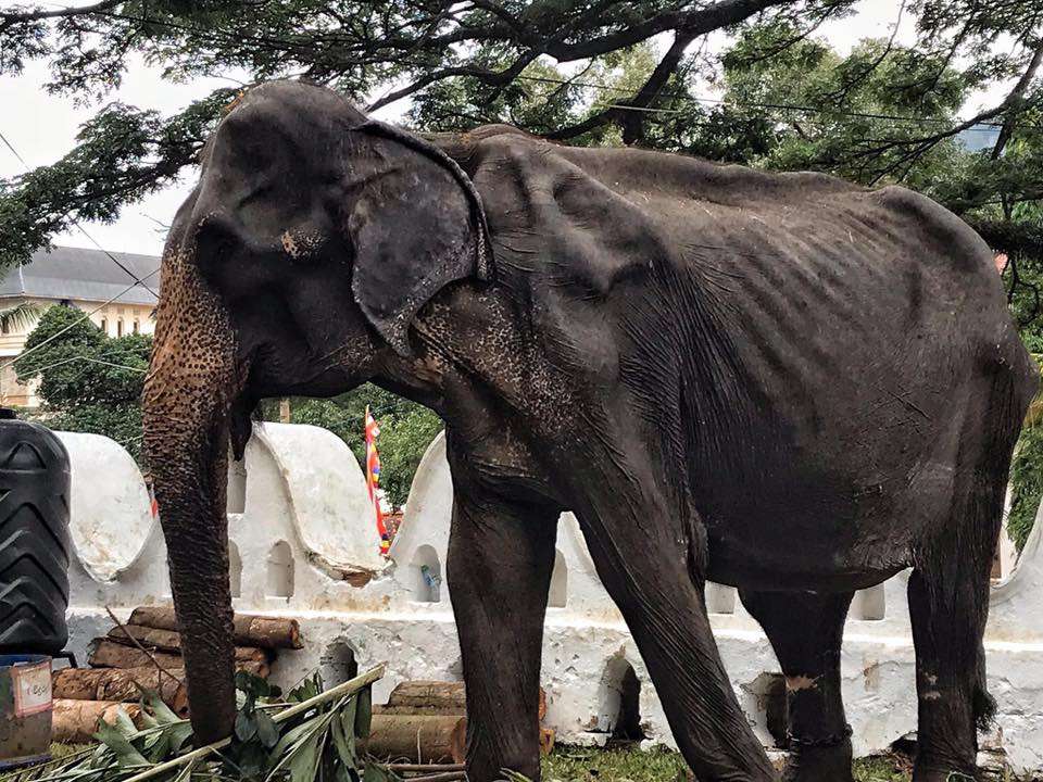 Sri Lanka