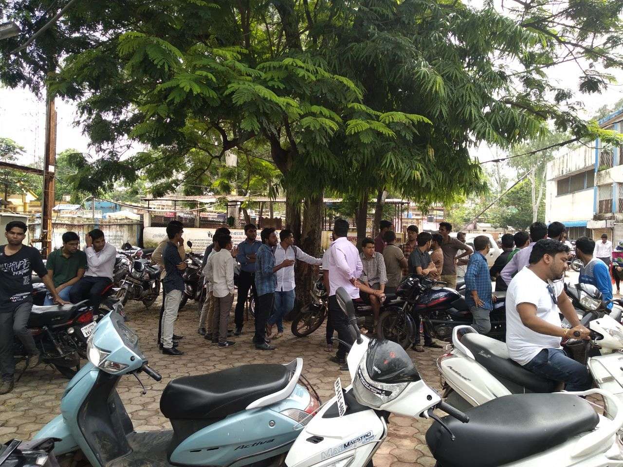 mp news